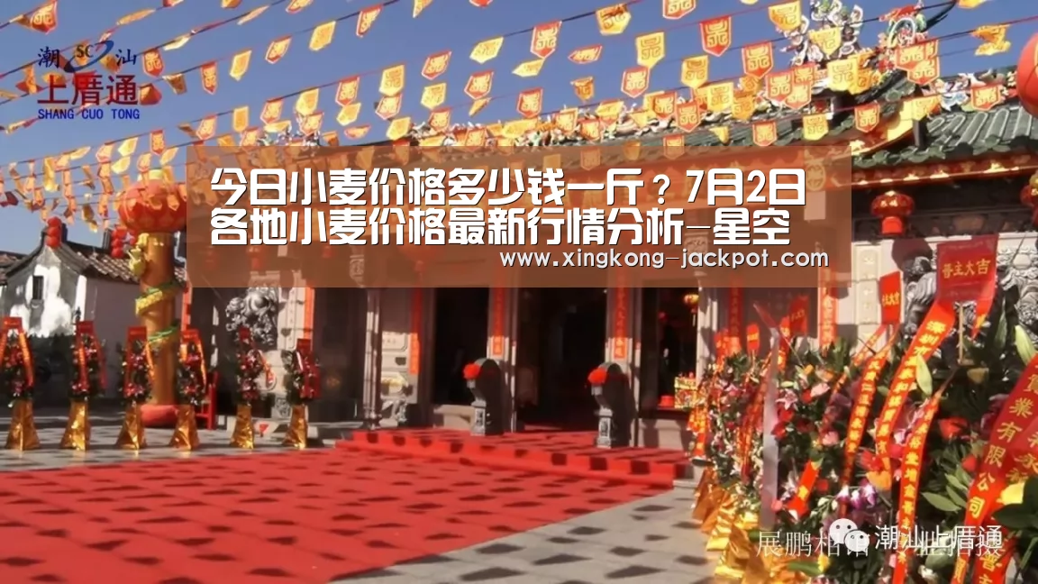 今日小麦价格多少钱一斤?7月2日各地小麦价格最新行情分析-星空推荐(图3) 星空推荐