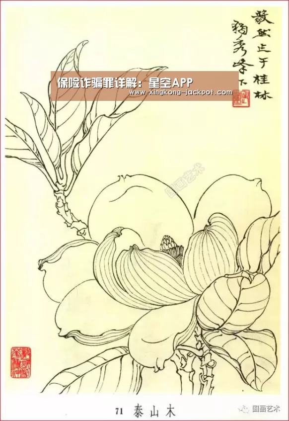 保险诈骗罪详解:星空APP(图2) 星空体验