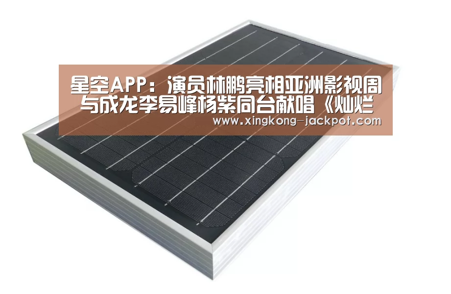 星空APP:演员林鹏亮相亚洲影视周 与成龙李易峰杨紫同台献唱《灿烂》(图2) 星空体验
