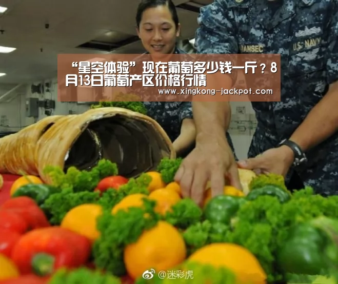 “星空体验”现在葡萄多少钱一斤?8月13日葡萄产区价格行情(图2) 星空体育