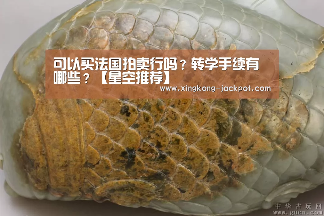 可以买法国拍卖行吗?转学手续有哪些?【星空推荐】(图1) 星空推荐