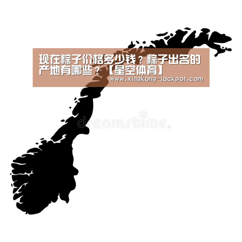 现在粽子价格多少钱?粽子出名的产地有哪些?【星空体育】(图1) 星空推荐