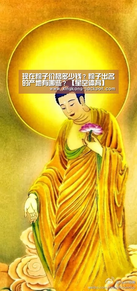 现在粽子价格多少钱?粽子出名的产地有哪些?【星空体育】(图4) 星空体育