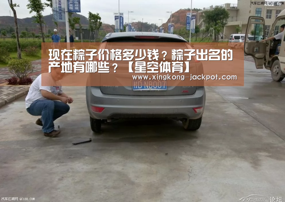 现在粽子价格多少钱?粽子出名的产地有哪些?【星空体育】(图3) 星空体验