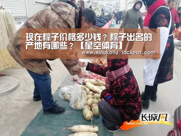 现在粽子价格多少钱?粽子出名的产地有哪些?【星空体育】(图2) 星空体验
