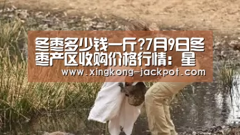 冬枣多少钱一斤?7月9日冬枣产区收购价格行情:星空体验(图1) 星空推荐