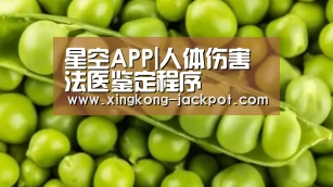 星空APP|人体伤害法医鉴定程序(图2) 星空体验